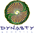Dynasty Genetics
