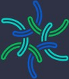 S3 Collective